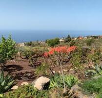 La Palma Kanaren isla bonita Sonderpreise Sommer 2026 - Krautheim