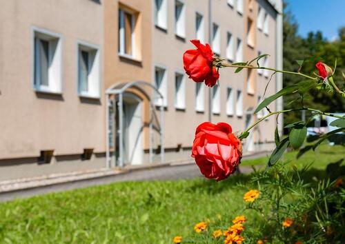 Foto - 3 Zimmer Etagenwohnung in Chemnitz