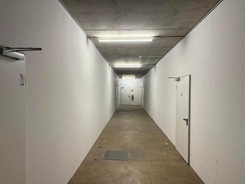 Foto - andere in Paderborn