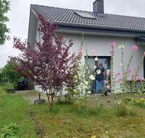 Eigenheim Haus zu vermieten - 1.190,00&nbsp;EUR Kaltmiete, ca.&nbsp; 74,00&nbsp;m&sup2; in Penzlin (PLZ: 17217)