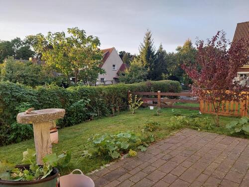 Foto - Einfamilienhaus in Penzlin zur Miete