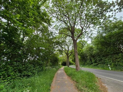 Foto - 4 Zimmer Einfamilienhaus zum Kaufen in Rendsburg