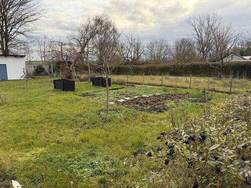 Foto - Grundst&uuml;ck zur Miete in Weißensee