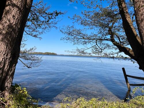 Foto - Badestelle am Plöner See tageweise zu vermieten