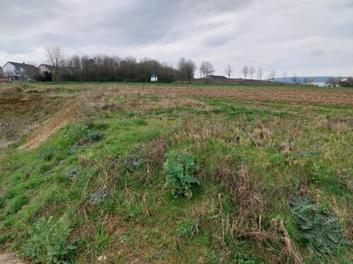 Foto - letzte Baugrundstücke in Rhaunen - 3. Bauabschnitt