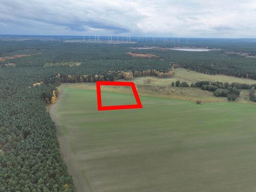 Foto - Ackerfläche (ca. 9ha) in Spreewaldnähe zum Verpachten