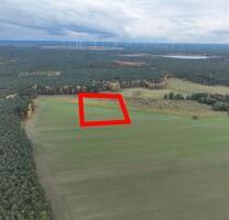 Ackerfläche (ca. 9ha) in Spreewaldnähe zum Verpachten - Märkische Heide