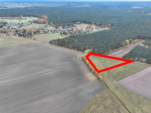 Foto - andere zum Kaufen in Märkische Heide