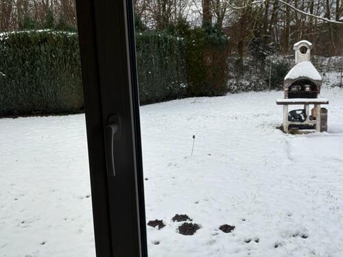 Foto - 4 Zimmer Erdgeschoßwohnung in Werther (Westfahlen)