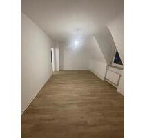 Helle 3 Zimmerwohnung neu Renoviert - Höchberg