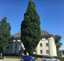 2-Raum-Wohnung in Schleizer Stadtzentrum