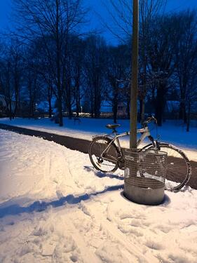 Foto - Kurzzeitvermietung eines Zimmers (0102-1404)