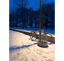 Kurzzeitvermietung eines Zimmers (0102-1404) - Gröbenzell