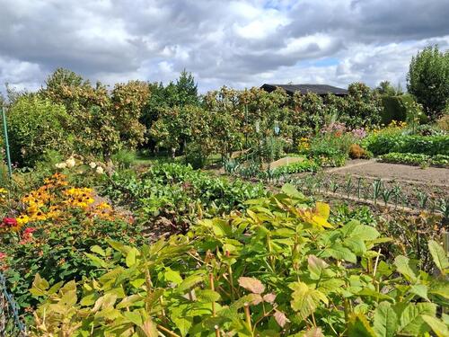 Foto - Grundst&uuml;ck zur Miete in Steinhagen