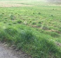 Baugrundstück in Bad Kreuznach In den Weingärten, Top Lage