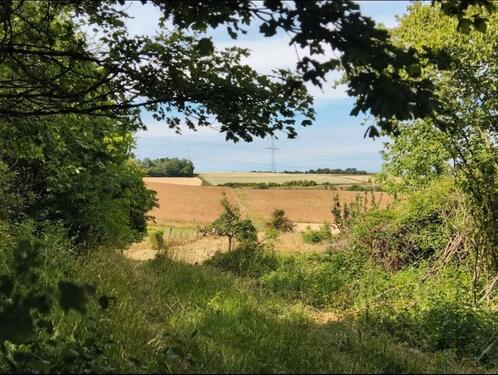 Foto - Garten Grundstück mit Sichtschutz zur Pacht