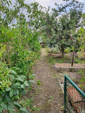 Foto - Grundstück zur Miete in Greifswald