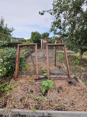 Foto - Grundstück in Greifswald zur Miete