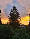 Foto - Einfamilienhaus in Oranienburg zum Kaufen