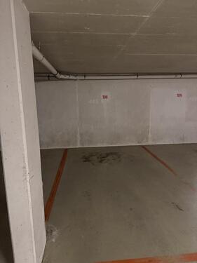 Foto - andere in Pleidelsheim