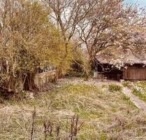 Garten an Lahn in Limburg zu vermieten - Limburg an der Lahn