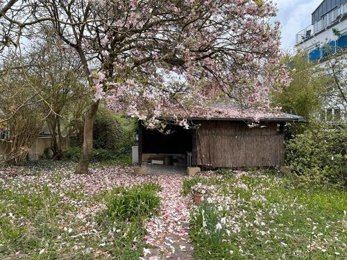 Foto - Grundst&uuml;ck zur Miete in Limburg an der Lahn