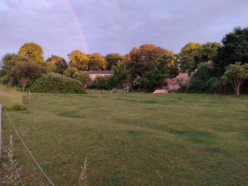 Foto - Grundstück zur Miete in Tarnow