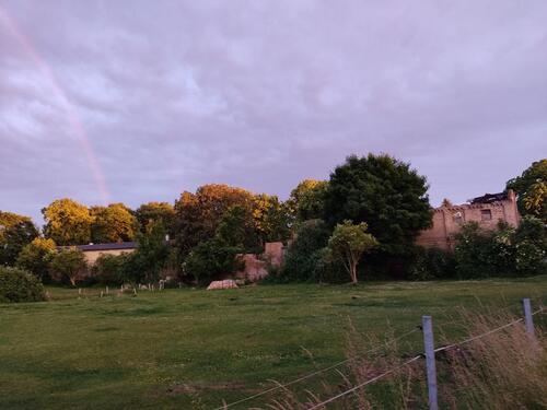 Foto - Grundstück in Tarnow