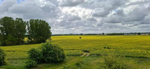 Foto - 2 Zimmer Etagenwohnung in Blankensee