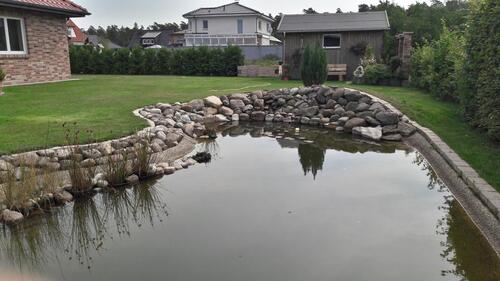 Foto - 5 Zimmer Einfamilienhaus in Müden (Aller)