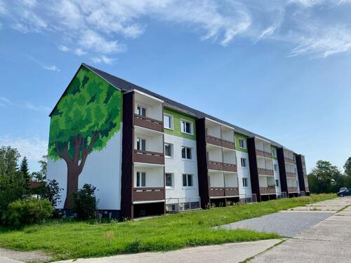 Foto - Ruhige 3-Raum-Wohnung in Löberitz 