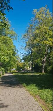 Foto - 3 Zimmer Etagenwohnung zur Miete in Zwickau