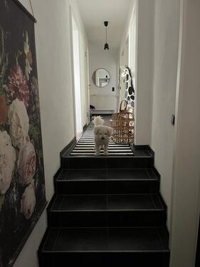 Foto - 20 Zimmer Etagenwohnung zur Miete in Hallstadt