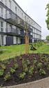 Foto - Wohnung - Erstbezug - Neubauapartment - Provisionsfrei