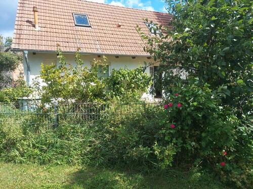 Foto - Einfamilienhaus in Friesack zur Miete