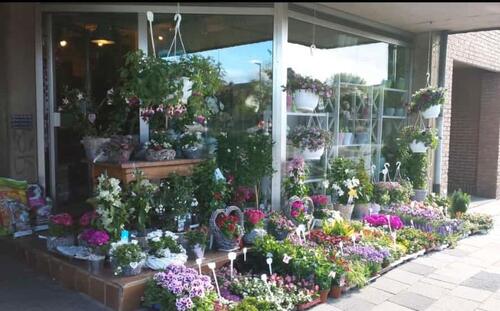 Foto - andere zur Miete in Übach-Palenberg