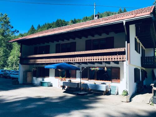 Foto - Almabtrieb im Allgäu in Oberstaufen