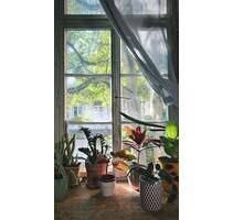 Kleines Atelier im Hinterhof zu vermieten - Karlsruhe Oststadt