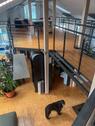 Foto - andere in Sindelfingen