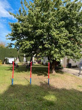 Foto - Einfamilienhaus in Schöningen