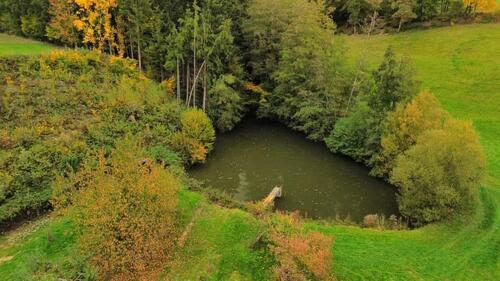 Foto - Grundstück zur Miete in Rattiszell