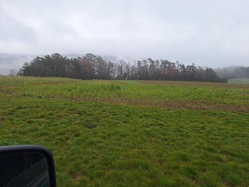Foto - Acker Ackerland Landwirtschaft Flächen in Binsfeld Arnstein MSP