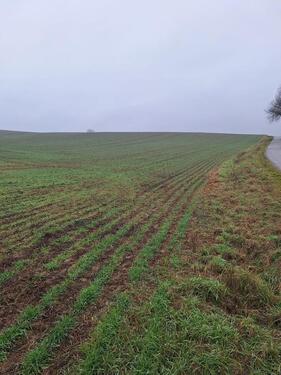 Foto - Grundst&uuml;ck zur Miete in Arnstein