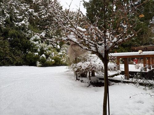 Foto - 4 Zimmer Haus in Altenhagen Springe