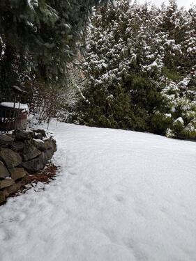 Foto - 4 Zimmer Einfamilienhaus zur Miete in Springe