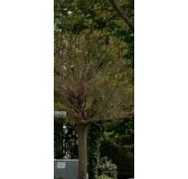 Bezaubernde 2-Zimmer-Wohnung mit Terrasse und eigenem Garten - Lauingen (Donau)