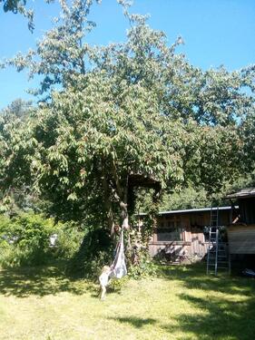 Foto - wochenendgrundstück zur Pacht - 200,00 EUR Kaltmiete, ca.  0,00 m²