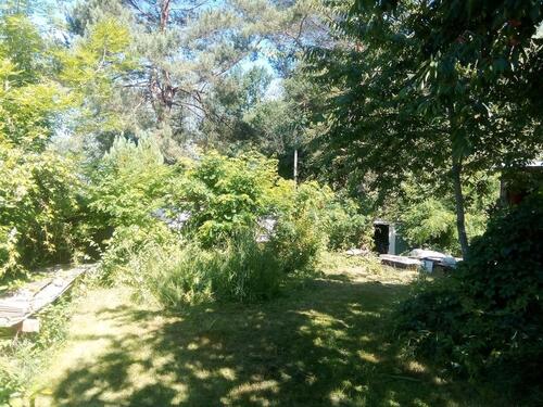 Foto - Grundstück zur Miete in Schkeuditz