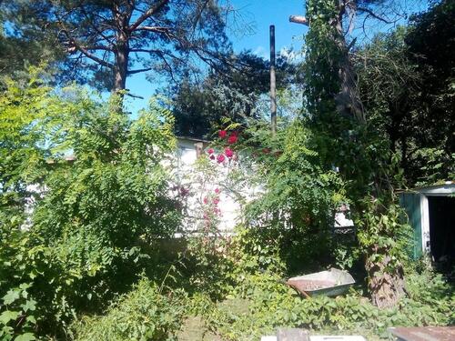 Foto - Grundstück in Schkeuditz