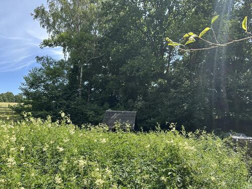 Foto - Ruhig gelegener Pachtgarten mit Gartenhaus (Laube), ca. 415m² Flä